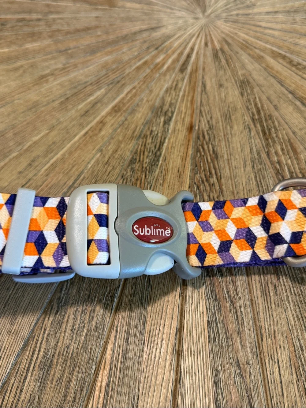 Sublime Dog Collar XL Geometric Adjustable Halloween Fall colors purple orange